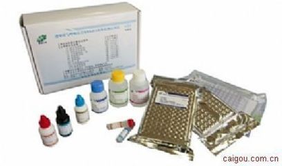 兔6酮前列腺素F1a（6-keto-PGF1a）ELISA試劑盒 實驗室耗材與生化儀器專用配件詳解